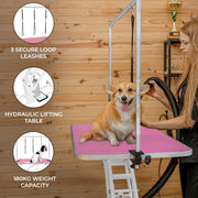 White Hydraulic Grooming Table with Pink Table Top