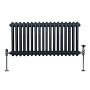 Traditional Two-Column Radiator, 300 x 832 mm, Anthracite Grey