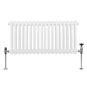 Traditional 2-Column Radiator, 300 x 832 mm, White