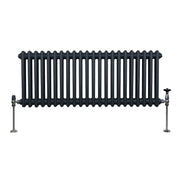 Traditional 2-Column Radiator, 300 x 1012 mm, Anthracite Grey