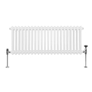 Traditional Two-Column Radiator, 300 x 1012 mm, White