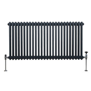 Traditional 2-Column Radiator, 600 x 1192 mm, Anthracite Grey