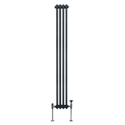Traditional Two-Column Radiator, 1800 x 202 mm, Anthracite Grey