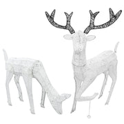 Large Light-Up Stag and Doe Reindeer Set