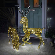 Gold Light-Up Reindeer Stag and Doe Set