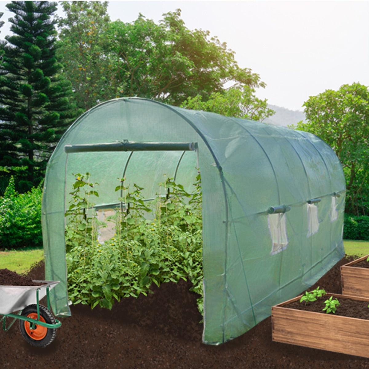 Polytunnel with 19mm Frame, 5m x 2m