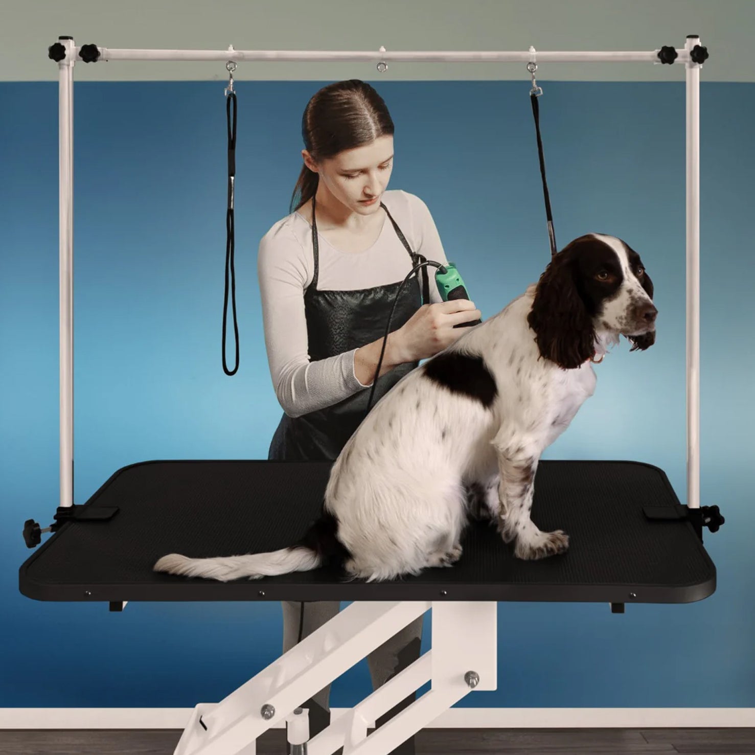 Business & Commercial